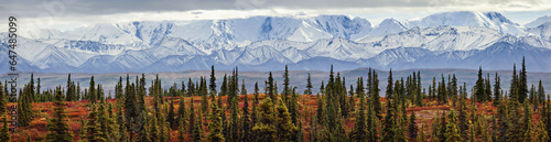 Panorama Of The Taiga (Boreal) Forest And Tundra Near Wonder Lake In Denali National Park, Interior Alaska, With The Snow-Covered Mountains Of The Alaska Range Near The Base Of Mt. Mckinley In The Bac photo