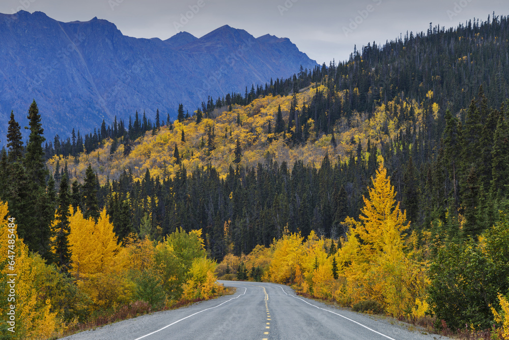 Autumn Scenic Along The Klondike Highway South Of Whitehorse, Yukon Territory, Canada Autumn Scenic Along The Klondike Highway South Of Whitehorse, Yukon Territory, Canada