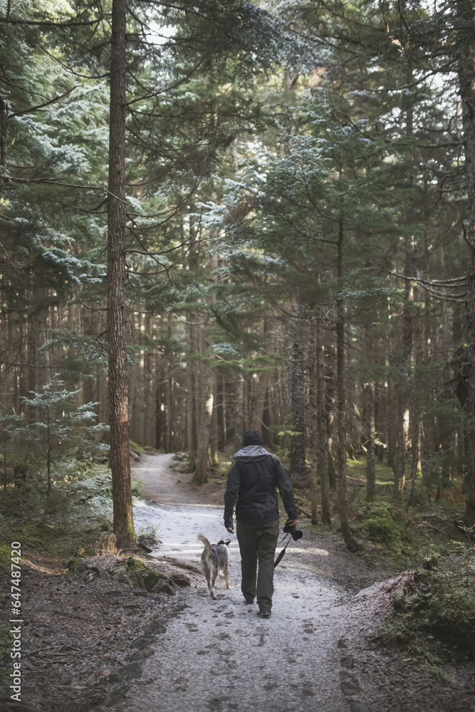 Man Hiking With His Dog On A Path In The Forest With A Light Dusting Of Snow On The Ground, Girdwood, Southcentral Alaska Man Hiking With His Dog On A Path In The Forest With A Light Dusting Of Snow On The Ground, Girdwood, Southcentral Alaska