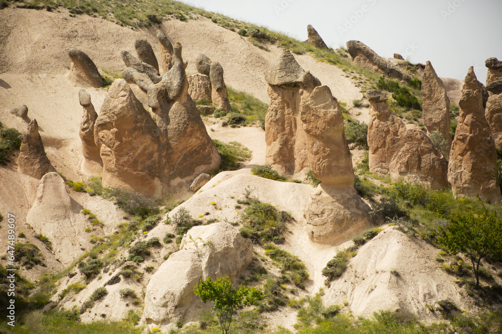 Fairy Chimneys In Dervent Valley, Also Known As Imagination Valley; Cappadocia, Turkey Fairy Chimneys In Dervent Valley, Also Known As Imagination Valley; Cappadocia, Turkey