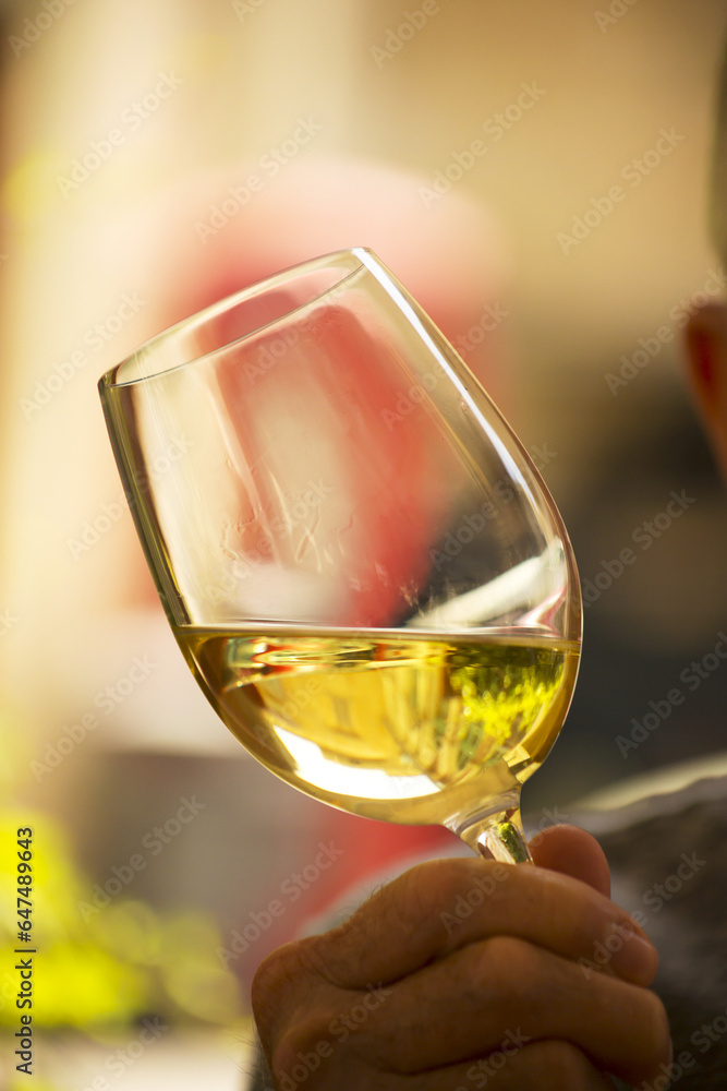 Drinking Local Wine; Valletta, Malta Drinking Local Wine; Valletta, Malta