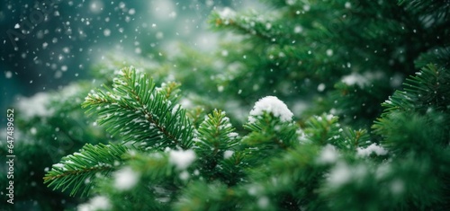 Christmas tree branches covered with snow. Winter background with snowflakes © Viewvie