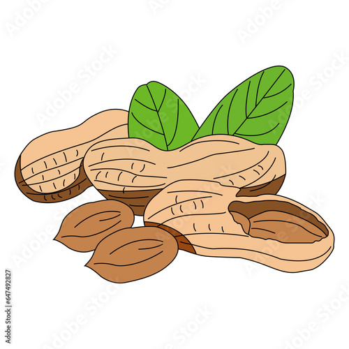 peanuts