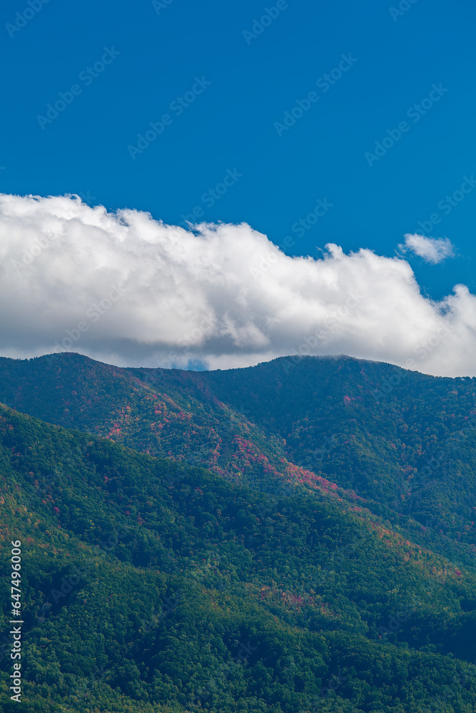 Mt Cammerer in the Great Smoky Mountains