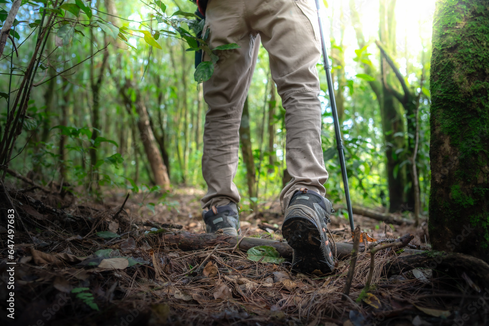 Close up shoe,Hikers on their adventure in forest. Close up shoe,Hikers on their adventure in forest.
