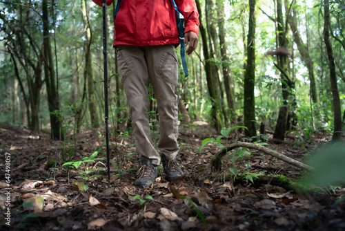 Hiker man with hiking equipment walking in forest