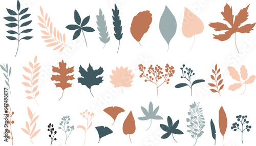 秋の植物ベクターイラスト。秋の紅葉と木の実の背景セット。可愛い落ち葉のベクターイラスト。Autumn plants vector illustration. Autumn leaves and nuts background set. Cute falling leaves vector illustration.