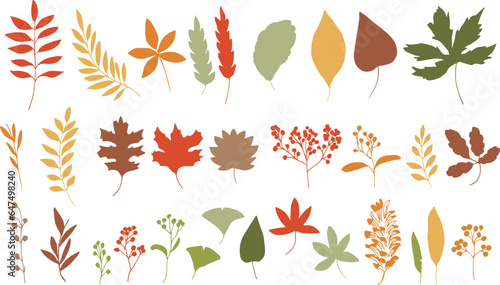 秋の植物ベクターイラスト。秋の紅葉と木の実の背景セット。可愛い落ち葉のベクターイラスト。Autumn plants vector illustration. Autumn leaves and nuts background set. Cute falling leaves vector illustration.