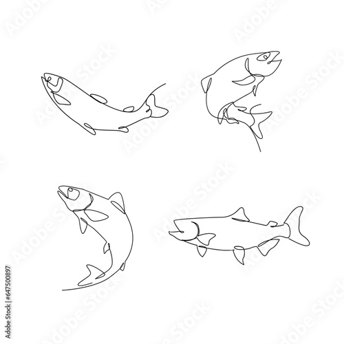 Salmon fish single line illustration template