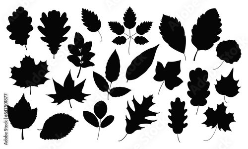 Set detailed silhouette of autumn leaves isolated on white background. Vector illustration.