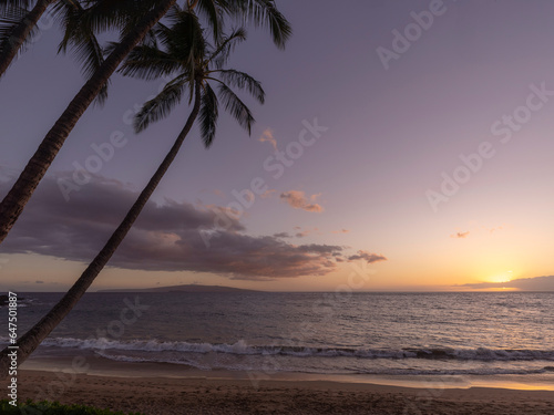 Silhouette of tropical palm trees along the shore at Ulua Beach with a golden sun reflecting on the Pacific Ocean at twilight; Kihei, Wailea, Maui, Hawaii, United States of America photo