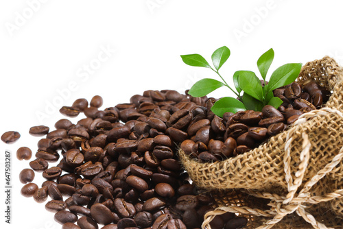 Coffee beans in canvas sack isolated on white background