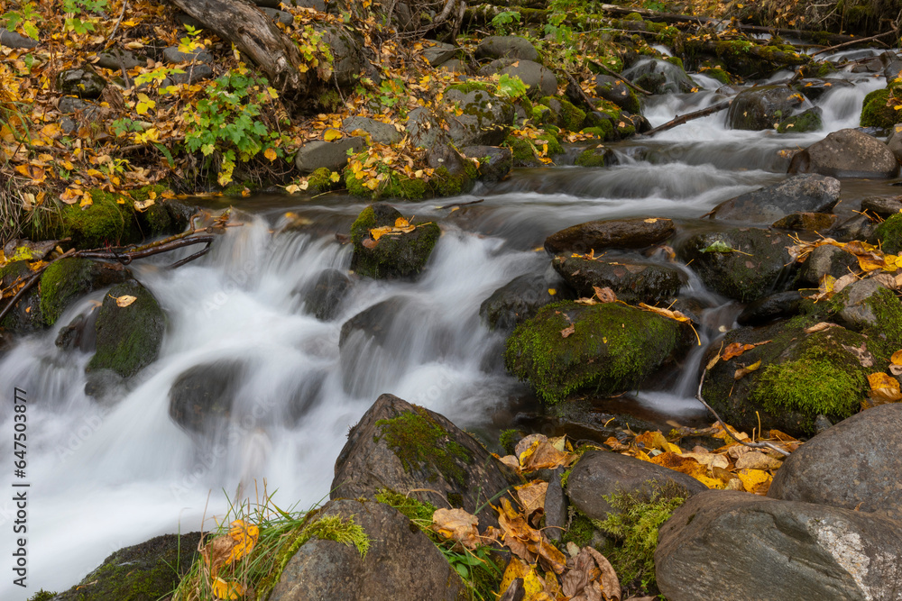 Long exposure of Rainbow Creek creates silky, smooth water, with fallen leaves lining the rocky banks, in autumn; Anchorage, Alaska, United States of America