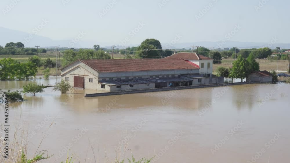 Sheep far house submerged in water Greece Floods Thessaly September 2023 Sheep far house submerged in water Greece Floods Thessaly September 2023