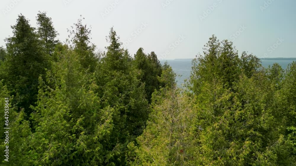 Aerial flyover forest trees reveal lake water, Michigan Aerial flyover forest trees reveal lake water, Michigan
