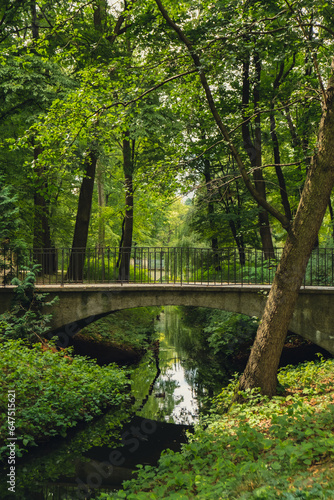 Colorful green scenery in forest park with bridge and small river. View through the summer foliage in park forest. Greenery Tree leaves Path. Nature landscape wallpaper background