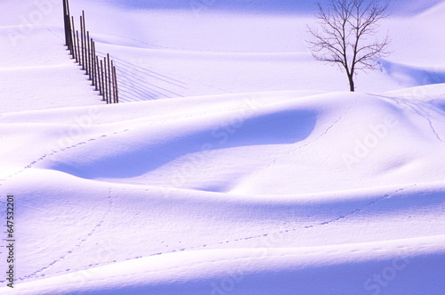 雪で覆われた田んぼが作り出すアート