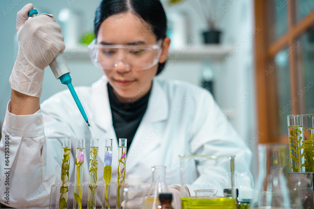 Asian woman scientist plant science laboratory research, biological chemistry test, green nature organic leaf experiment in test tube. Asian woman scientist plant science laboratory research, biological chemistry test, green nature organic leaf experiment in test tube.