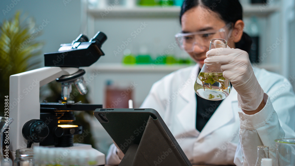 Asian woman scientist plant science laboratory research, biological chemistry test, green nature organic leaf experiment in test tube.