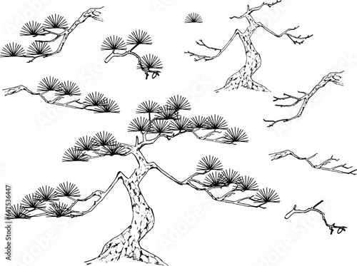 ペンで描いた松のパーツイラスト