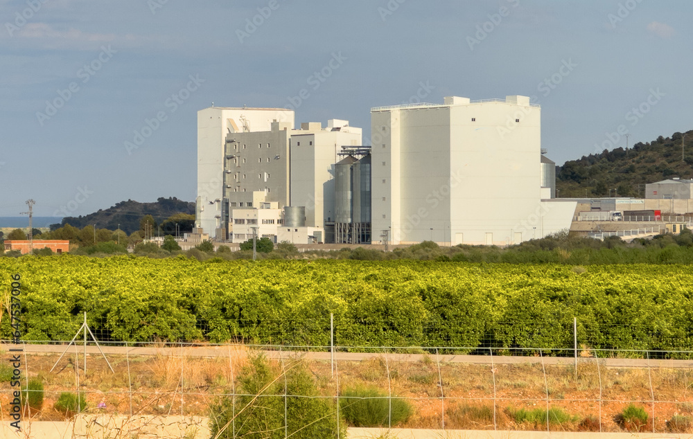 Grain storage. Silo at Agricultural farm. Wheat flour production in Spain, Almenara. Elevator for corn storage. Feed Silos Hopper for wheat storage and barley. Wheat flour plant. Agriculture industry Grain storage. Silo at Agricultural farm. Wheat flour production in Spain, Almenara. Elevator for corn storage. Feed Silos Hopper for wheat storage and barley. Wheat flour plant. Agriculture industry