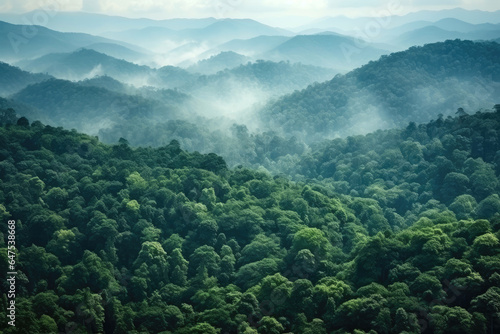 Aerial view of mountain hills in the morning with fog or mist in the middle of rainforest, Healthy fresh green tree environment, Beautiful fresh green natural scenery of hilltops. © TANATPON