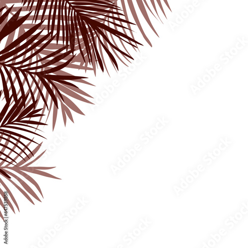 silhouette of palm tree leaf on a white background as corner border frame