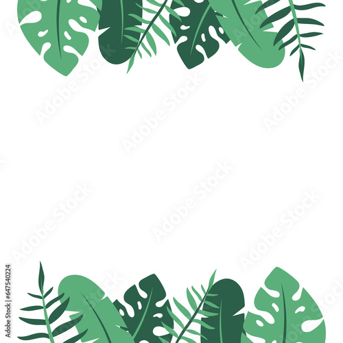 Wallpaper Mural header or footer border with banana and monstera plant tree leaves illustration Torontodigital.ca