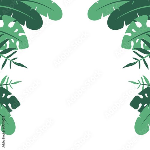 ornamental frame with illustration of tropical banana and monstera plant tree leaves and other branch