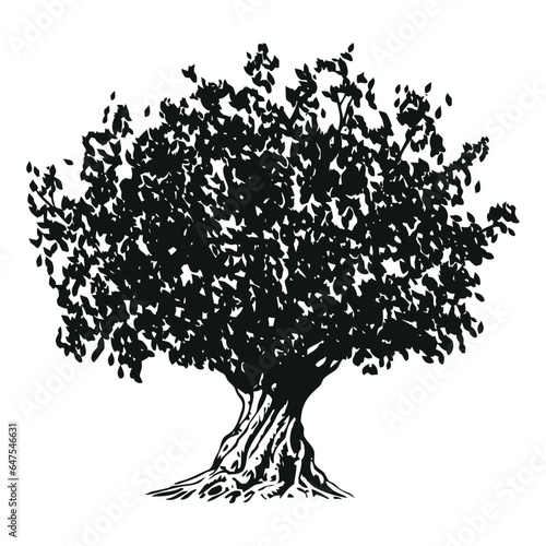 olive tree - black and white drawing illustration