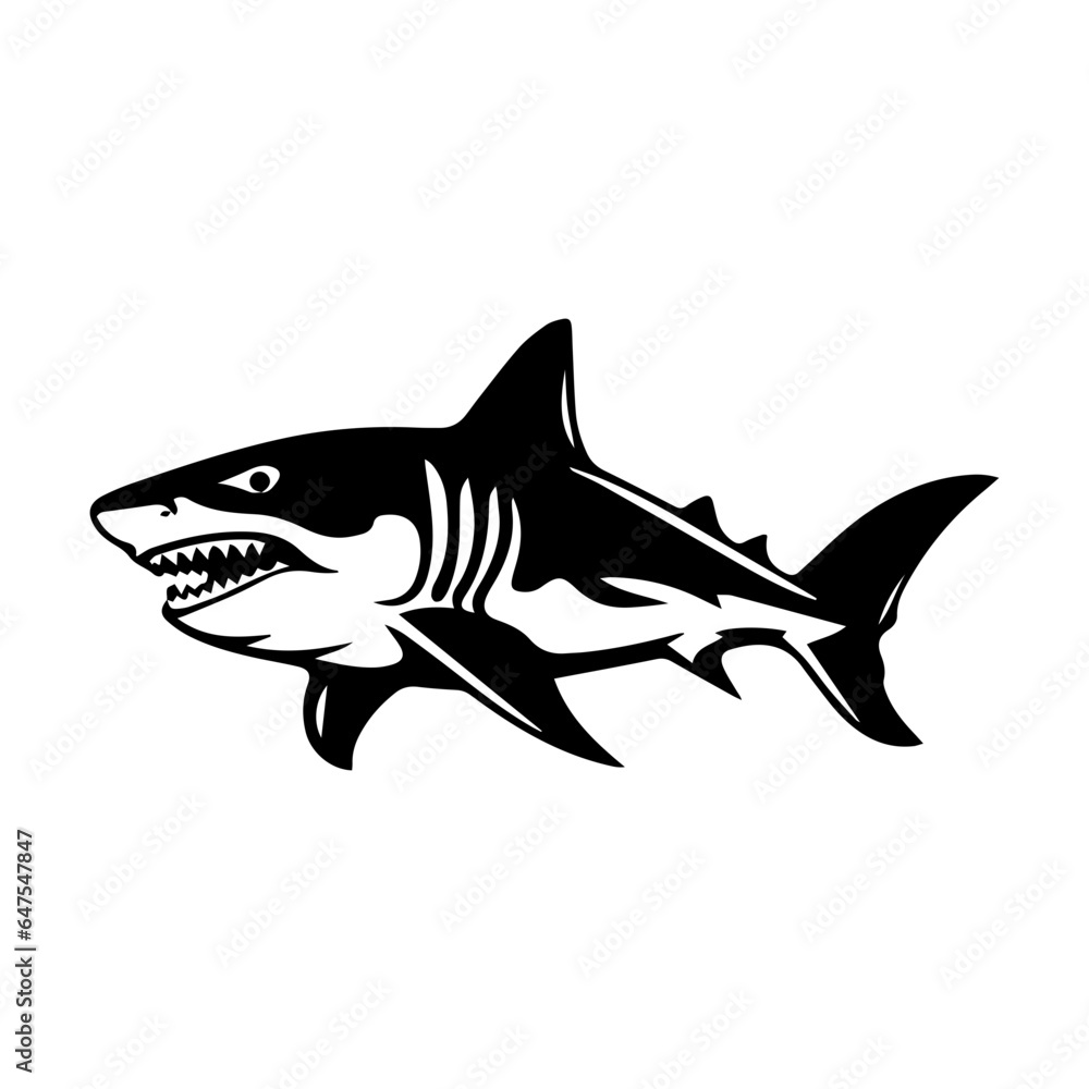 shark illustration isolated on white background shark illustration isolated on white background