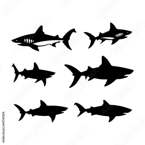 shark illustration isolated on white background