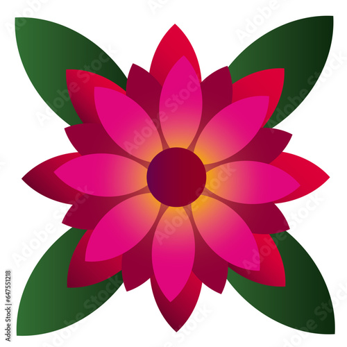 lotus flower isolated on white