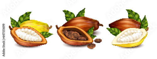 Cocoa Compositions Set