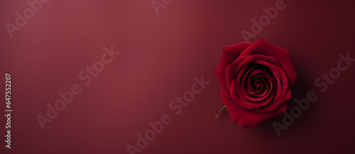 red rose sitting on red background with leaves