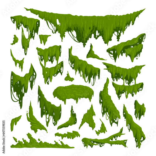 Green moss. Cartoon jungle moss plants, creeping and hanging lichen flat vector illustration set. Tropical forest flora