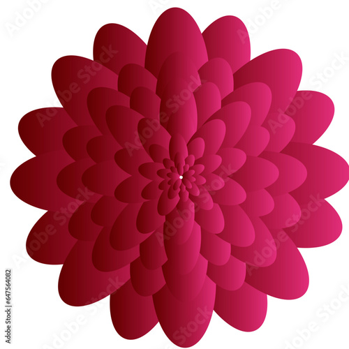 pink flower isolated on white