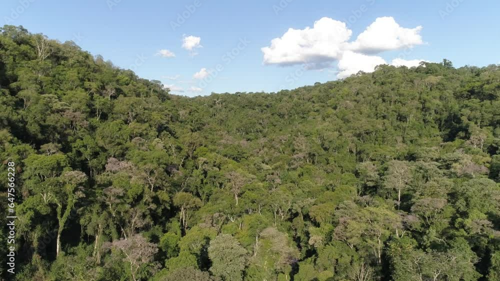 A bird's-eye view of the Misiones rainforest in Argentina, capturing the lush green canopy and the natural beauty of this vibrant and biodiverse ecosystem. A bird's-eye view of the Misiones rainforest in Argentina, capturing the lush green canopy and the natural beauty of this vibrant and biodiverse ecosystem.