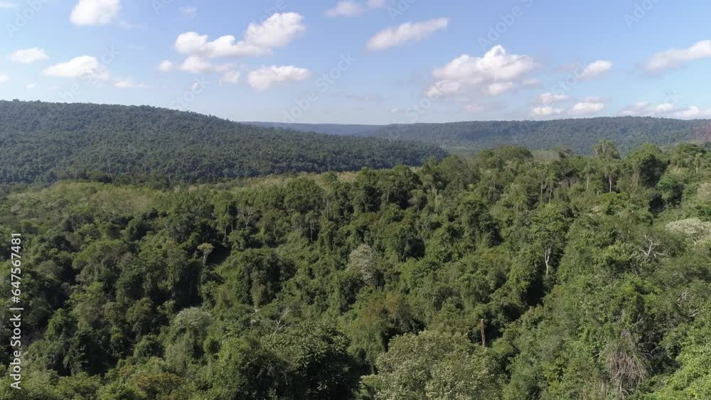 Aerial view of a tropical jungle Aerial view of a tropical jungle