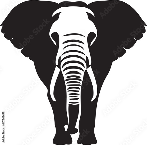 Close up of wild animal elephant 