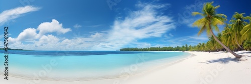A dramatic beach skyline with white sand shore, crystal blue ocean and clear skies with huge palm trees in a tropical setting