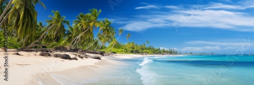 A dramatic beach skyline with white sand shore, crystal blue ocean and clear skies with huge palm trees in a tropical setting