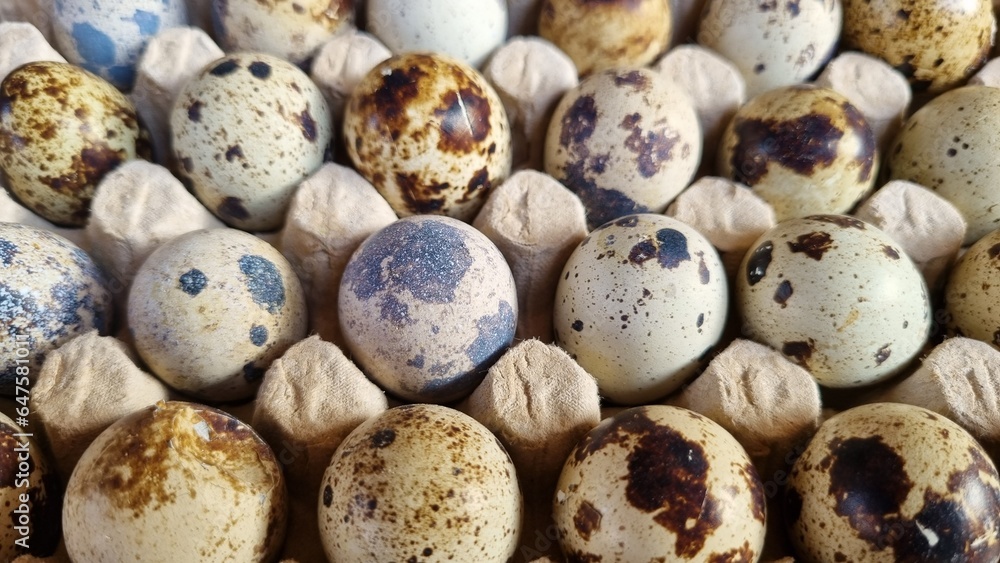 Fresh organic quail eggs in their paper packaging. Big collection of quail eggs. Textured spring background with small quail eggs. Eco products. Horizontal format. Fresh organic quail eggs in their paper packaging. Big collection of quail eggs. Textured spring background with small quail eggs. Eco products. Horizontal format.