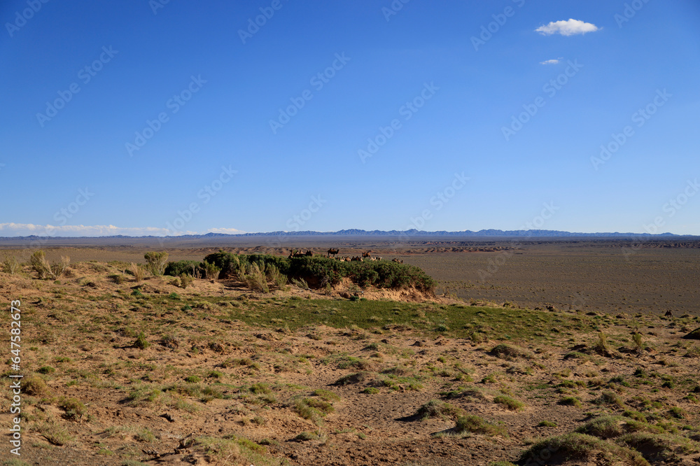 The rock formations of Narandaats, South Gobi, Mongolia