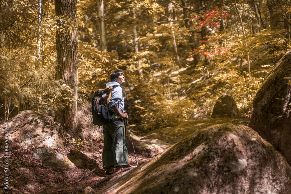紅葉している秋の山を歩くアジア人女性 紅葉している秋の山を歩くアジア人女性