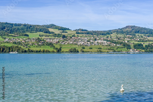 Birrwil, Hallwilersee, See, Seeufer, Seeuferweg, Seerundfahrt, Naturschutzgebiet, Dorf, Meisterschwanden, Schifffahrt, Aargau, Sommer, Schweiz photo