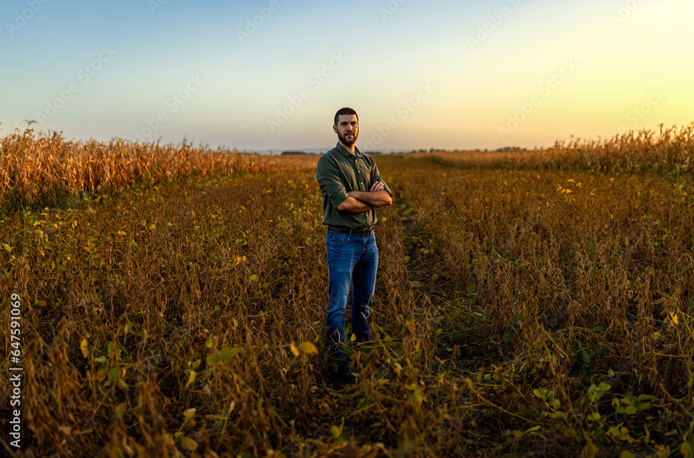 Portrait of young farmer standing in a soy field at sunset looking at camera.