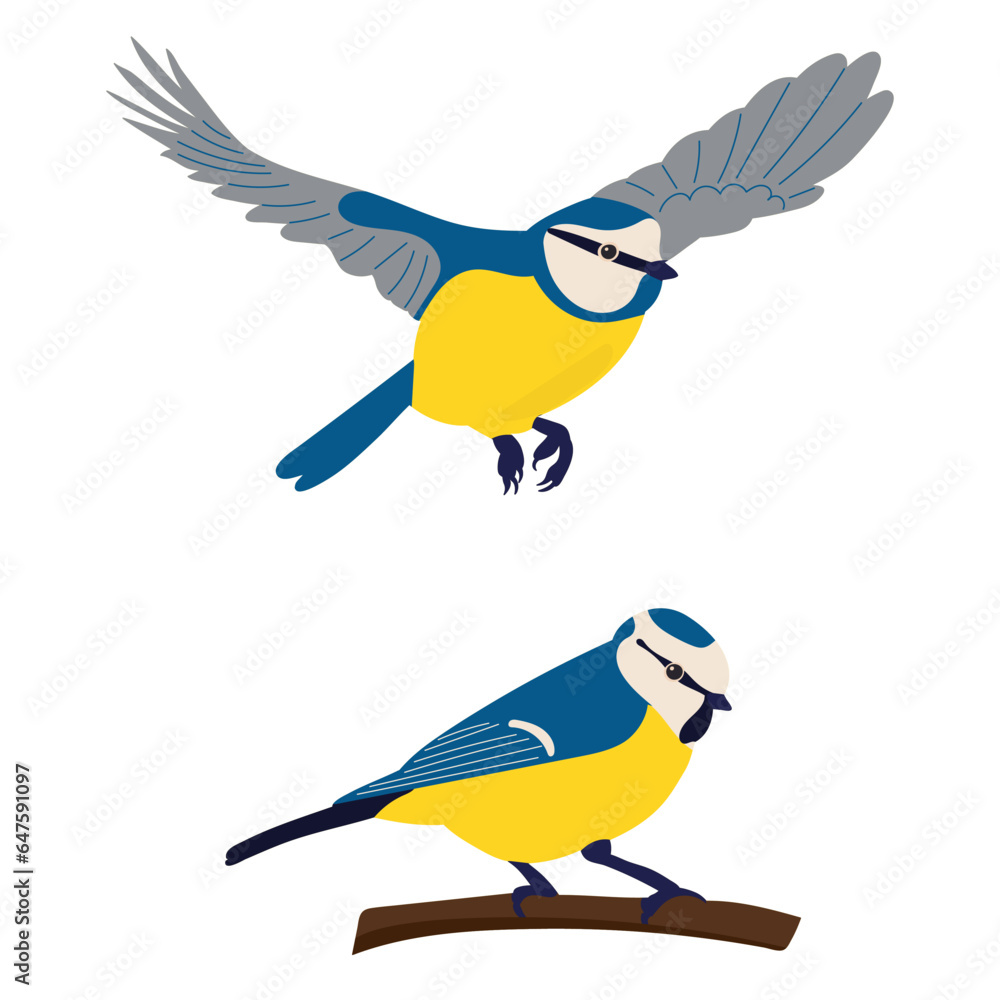 tits in flat style on white background vector tits in flat style on white background vector