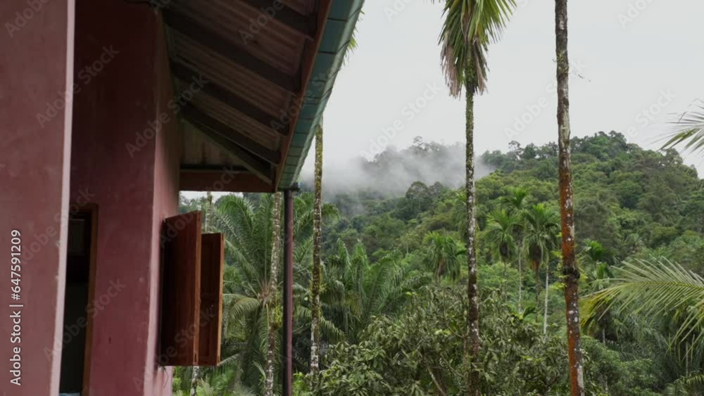 a misty mountain cabin nestled in the heart of a lush tropical rainforest paradise a misty mountain cabin nestled in the heart of a lush tropical rainforest paradise