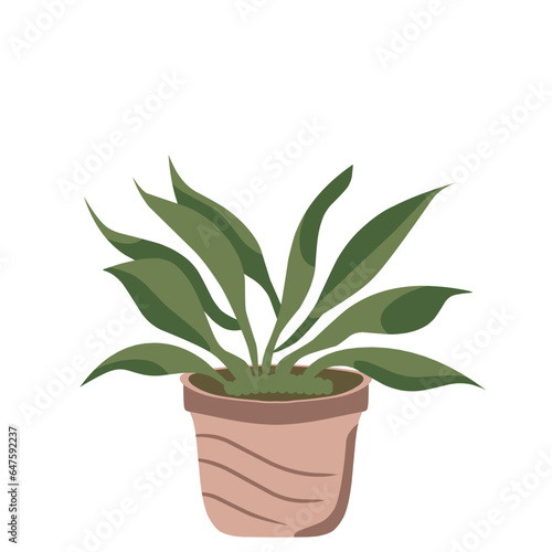 Houseplant Illustration 